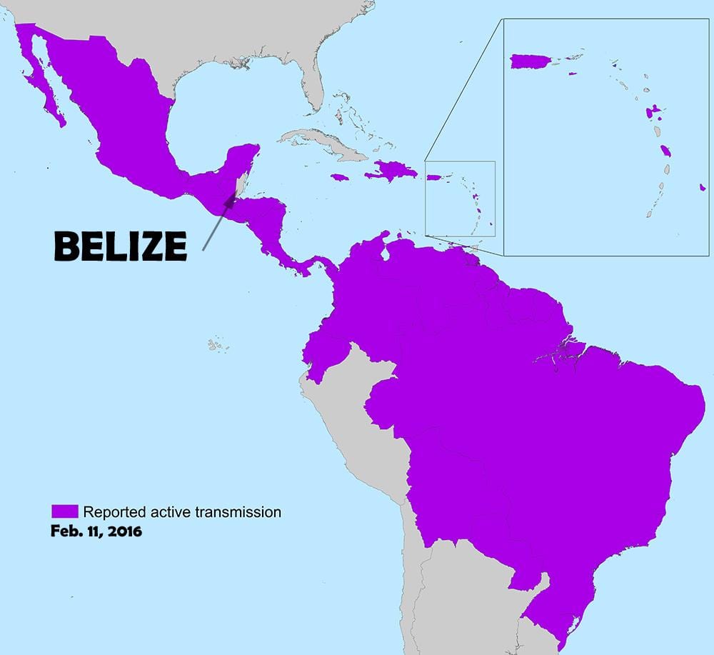 地図のベリーズzika