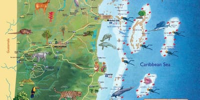 地図のベリーズ滝 